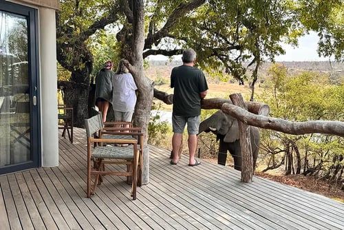 Three people stand on a wooden deck observing a young elephant reaching over the railing with its trunk. The deck is surrounded by trees and overlooks a scenic landscape. Chairs and a glass door are visible on the left side, adding to the peaceful setting.