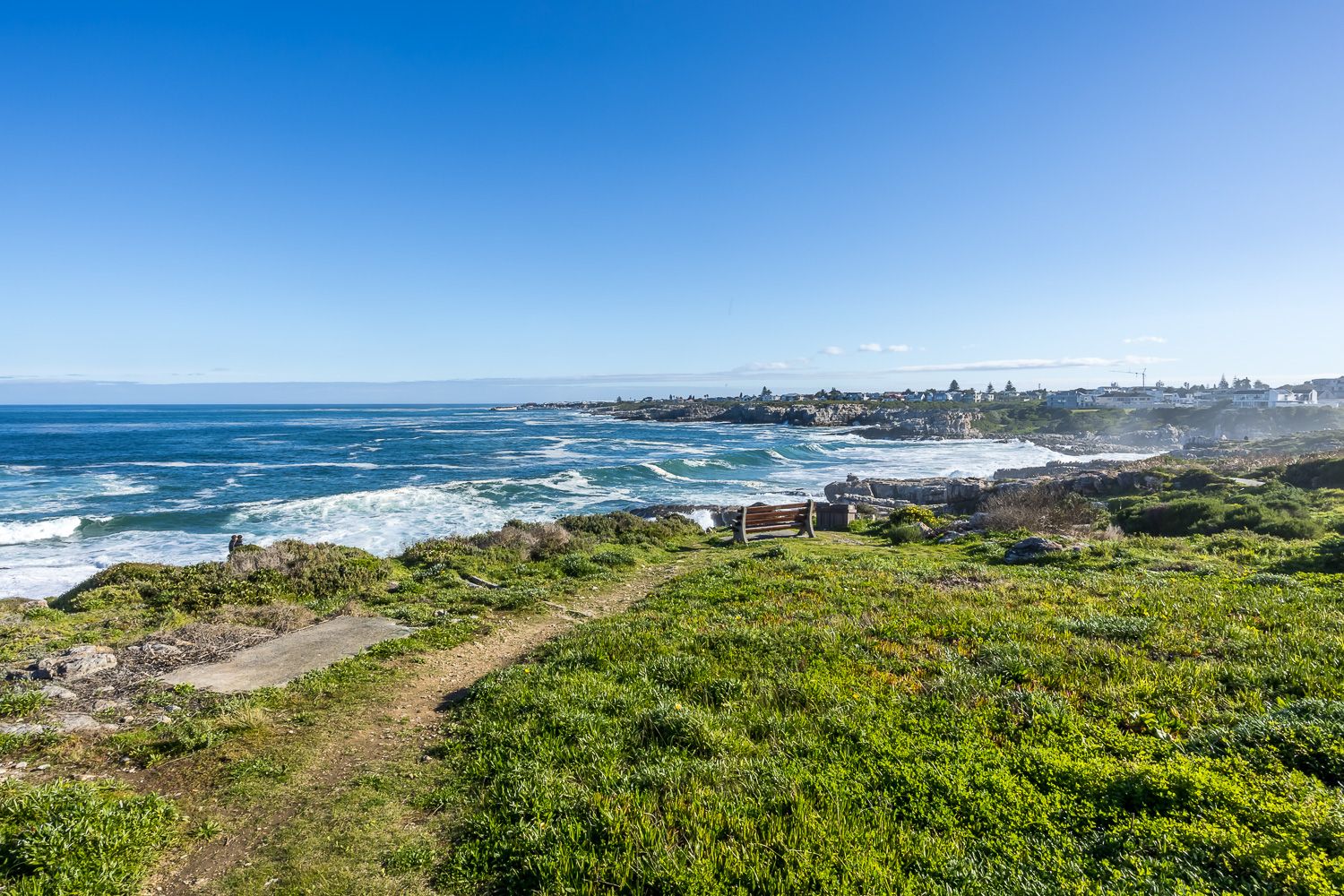 A scenic view from the Hermanus cliffpath, featuring a grassy trail leading to a wooden bench overlooking the ocean. The image captures the rocky coastline and waves crashing against the shore under a clear blue sky, with a town visible in the distance.