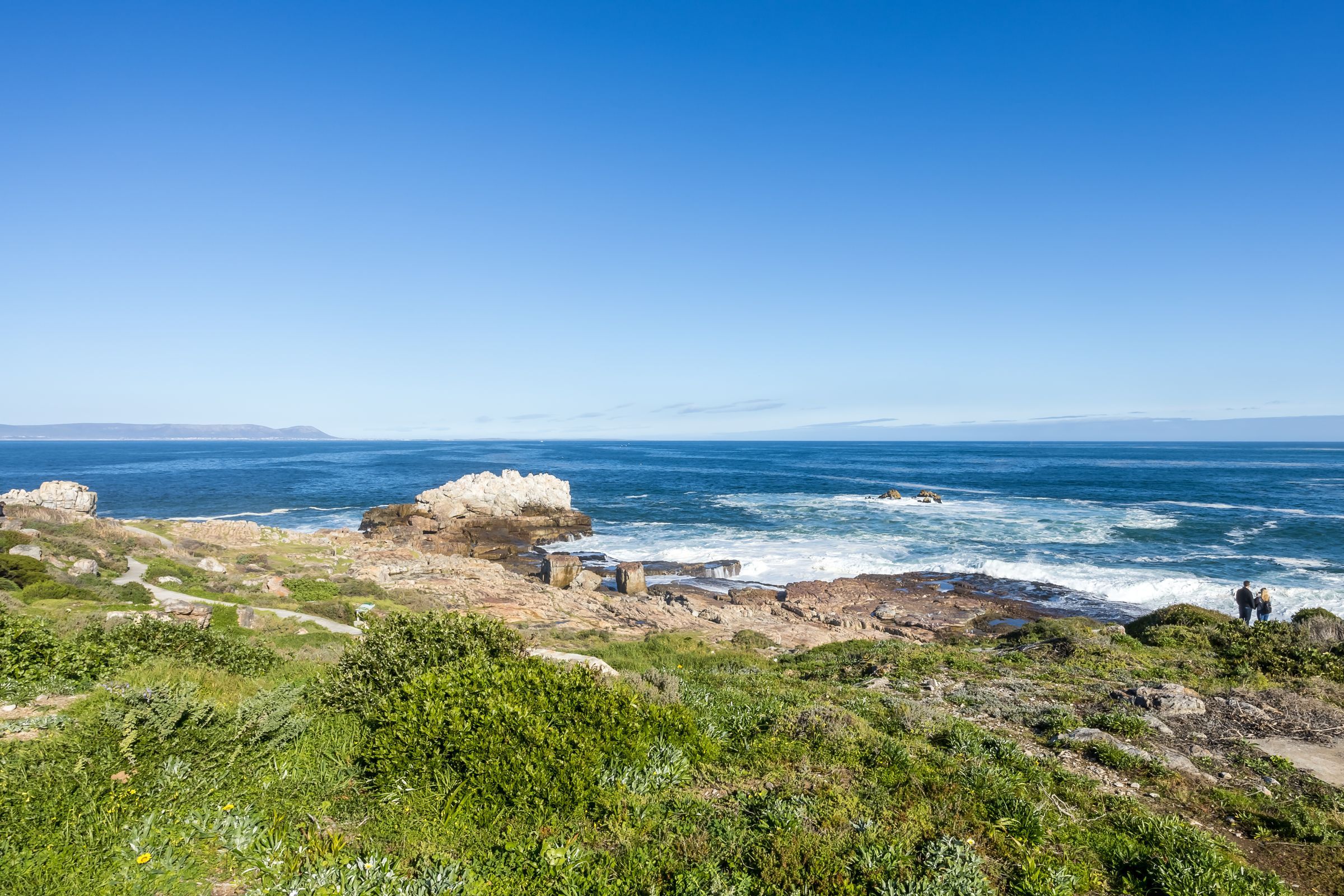 A scenic view of the Hermanus cliffpath featuring lush greenery in the foreground, rugged cliffs, and the vast ocean under a clear blue sky. Waves crash against the rocks, offering a breathtaking coastal panorama ideal for nature enthusiasts and photographers.