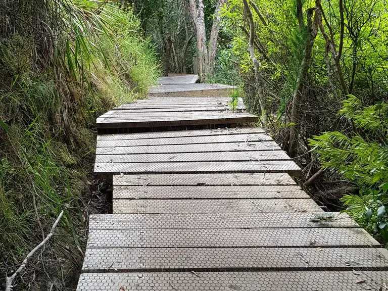 A close-up view of a wooden boardwalk surrounded by lush greenery and trees. The path appears slightly uneven with visible gaps between the planks. The boardwalk winds through a dense forest, creating a serene and natural atmosphere.