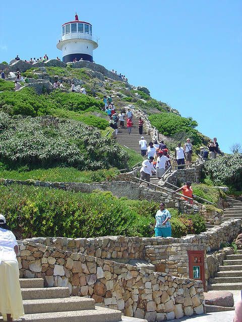 Visitors climb the stone steps leading to the historic lighthouse at Cape Point Nature Reserve. The scene captures lush greenery, rugged stone pathways, and the lighthouse perched atop, highlighting the dramatic landscape and the allure of exploration at the continent's edge.