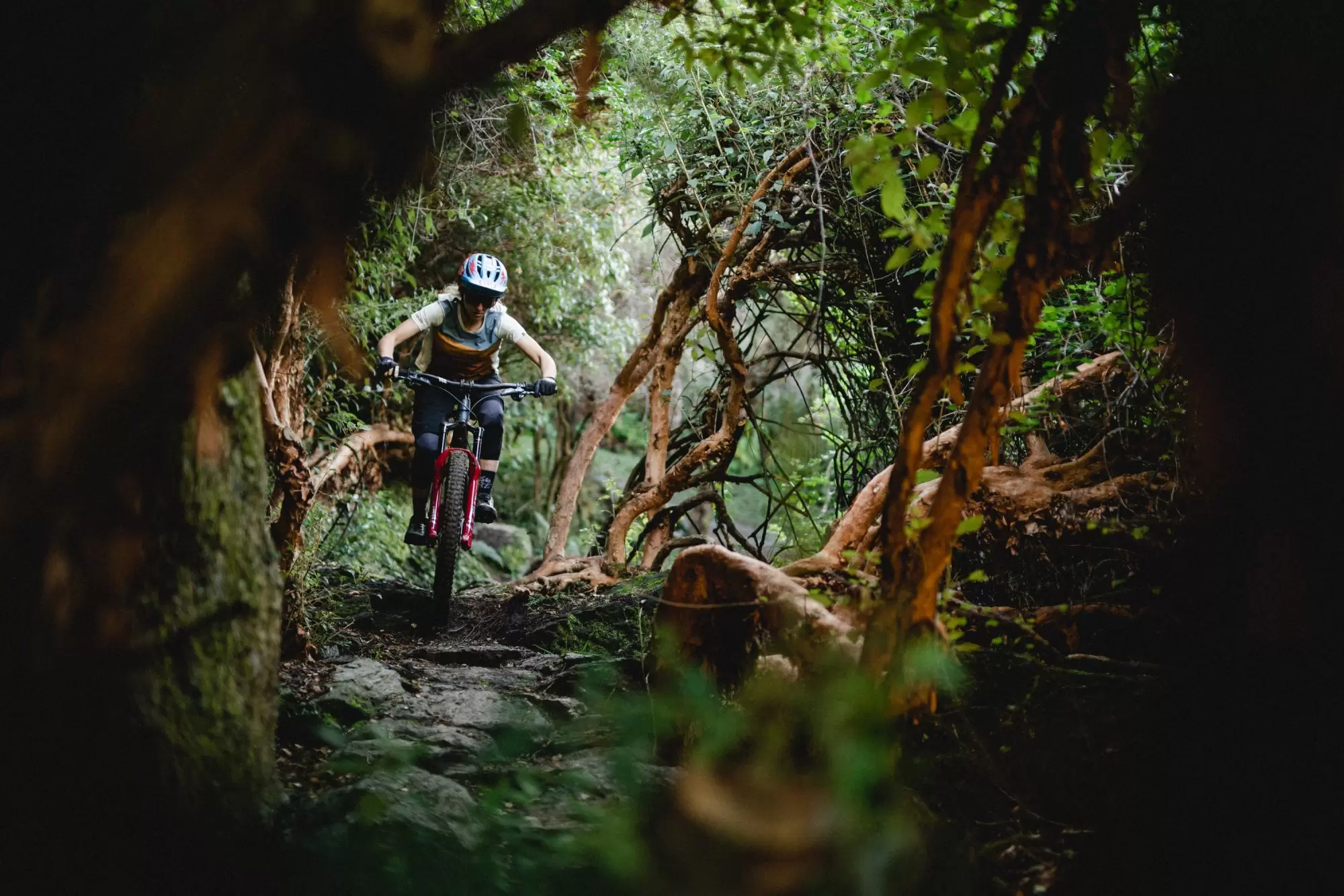 A mountain biker wearing a helmet rides through a dense, green forest. The trail is rugged with rocks and surrounded by twisting tree branches. Sunlight filters through the foliage, creating a dynamic, adventurous atmosphere.