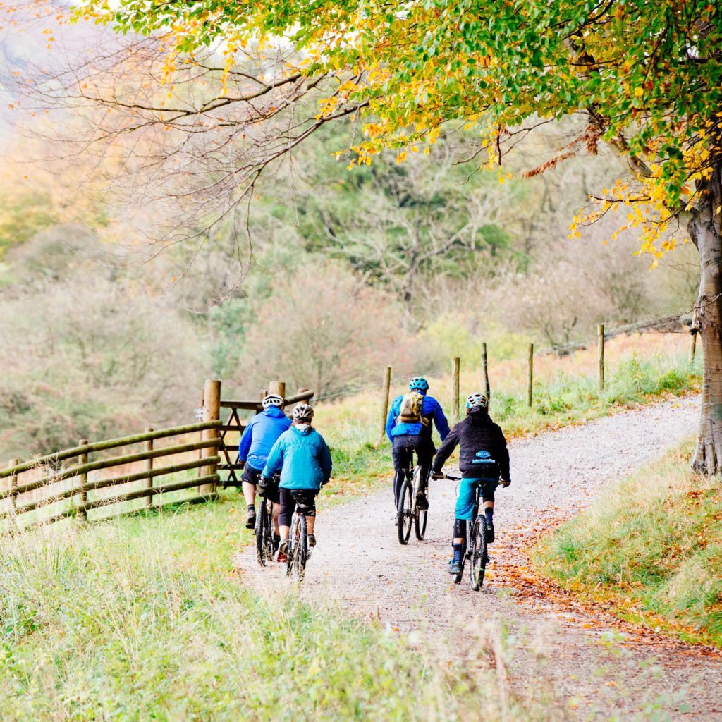 Four cyclists wearing helmets ride along a winding gravel path surrounded by autumn foliage. The scene is set in a rural area with a wooden fence and lush greenery, under a canopy of trees with yellowing leaves.