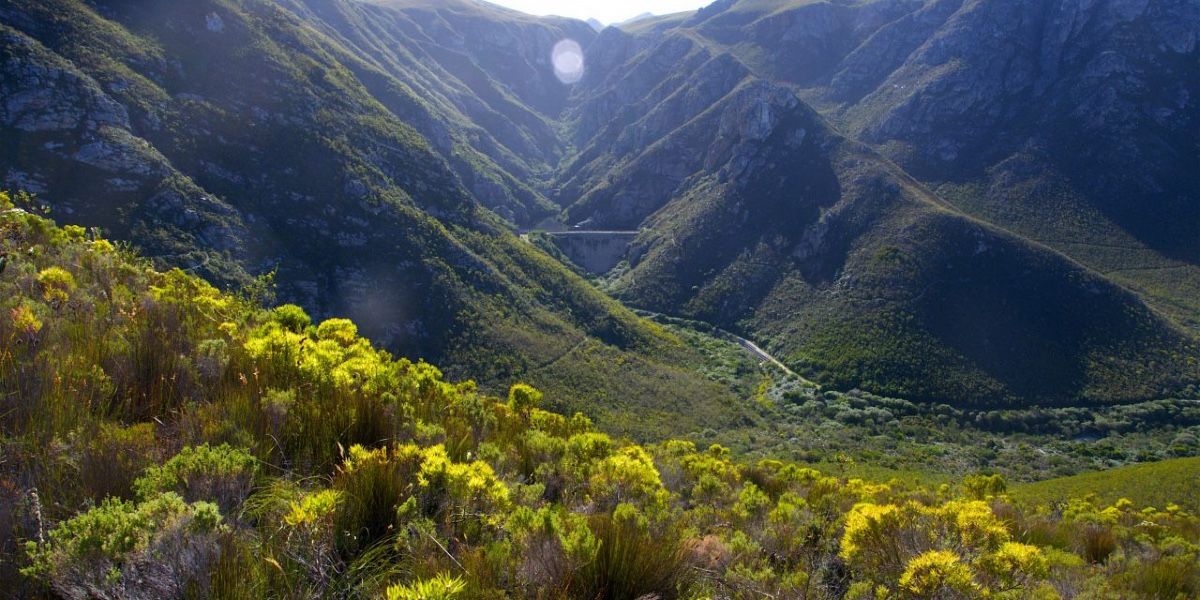 A scenic view of a lush green valley surrounded by steep mountains. Bright yellow foliage is visible in the foreground. A small bridge spans the valley, blending into the natural landscape under a clear blue sky.