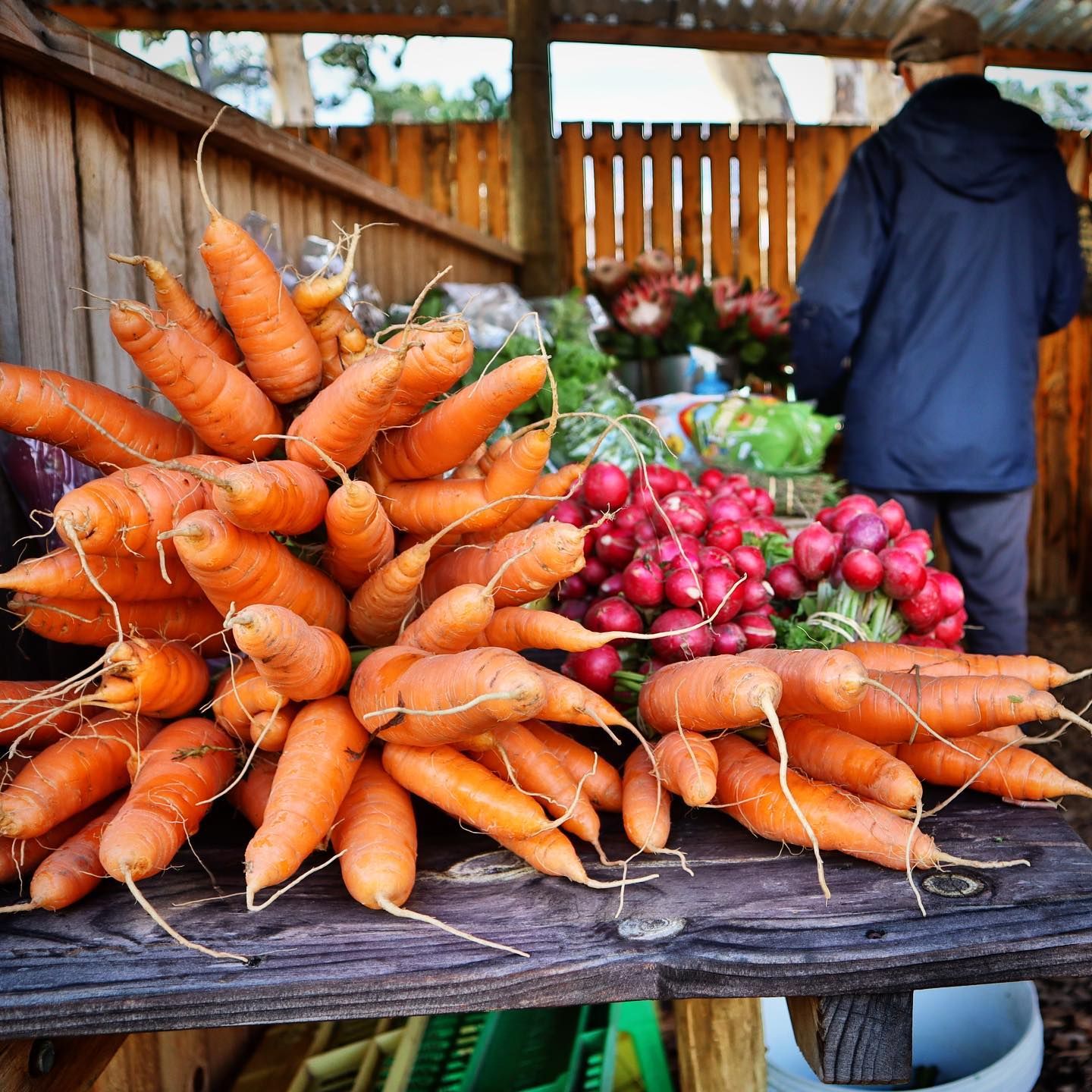 A vibrant display of fresh carrots and radishes at the Hermanus Country Market. The colorful produce is neatly arranged on a rustic wooden table, highlighting the farm-to-table freshness. A person in a blue jacket is browsing in the background, adding to the bustling market atmosphere.
