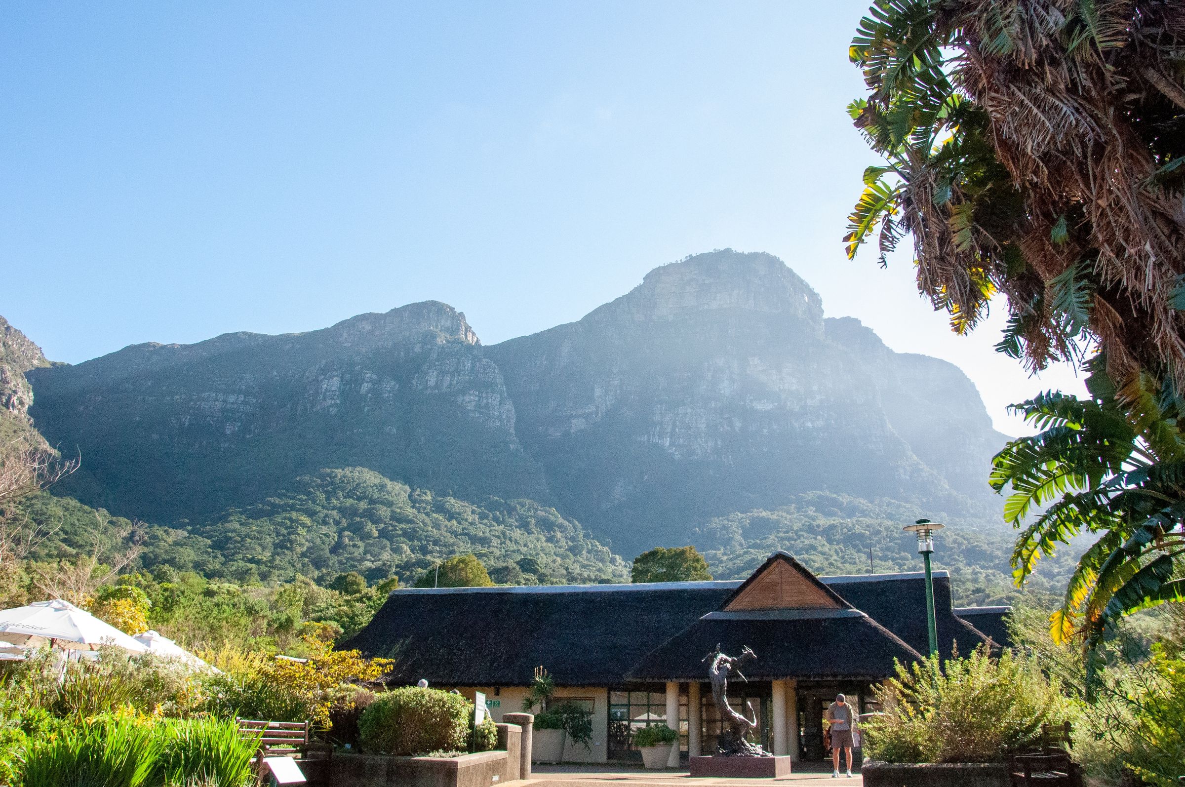 A scenic view of a botanical garden with a thatched-roof building and diverse flora. A majestic mountain looms in the background under a clear blue sky, highlighting the garden's natural beauty and serene atmosphere.