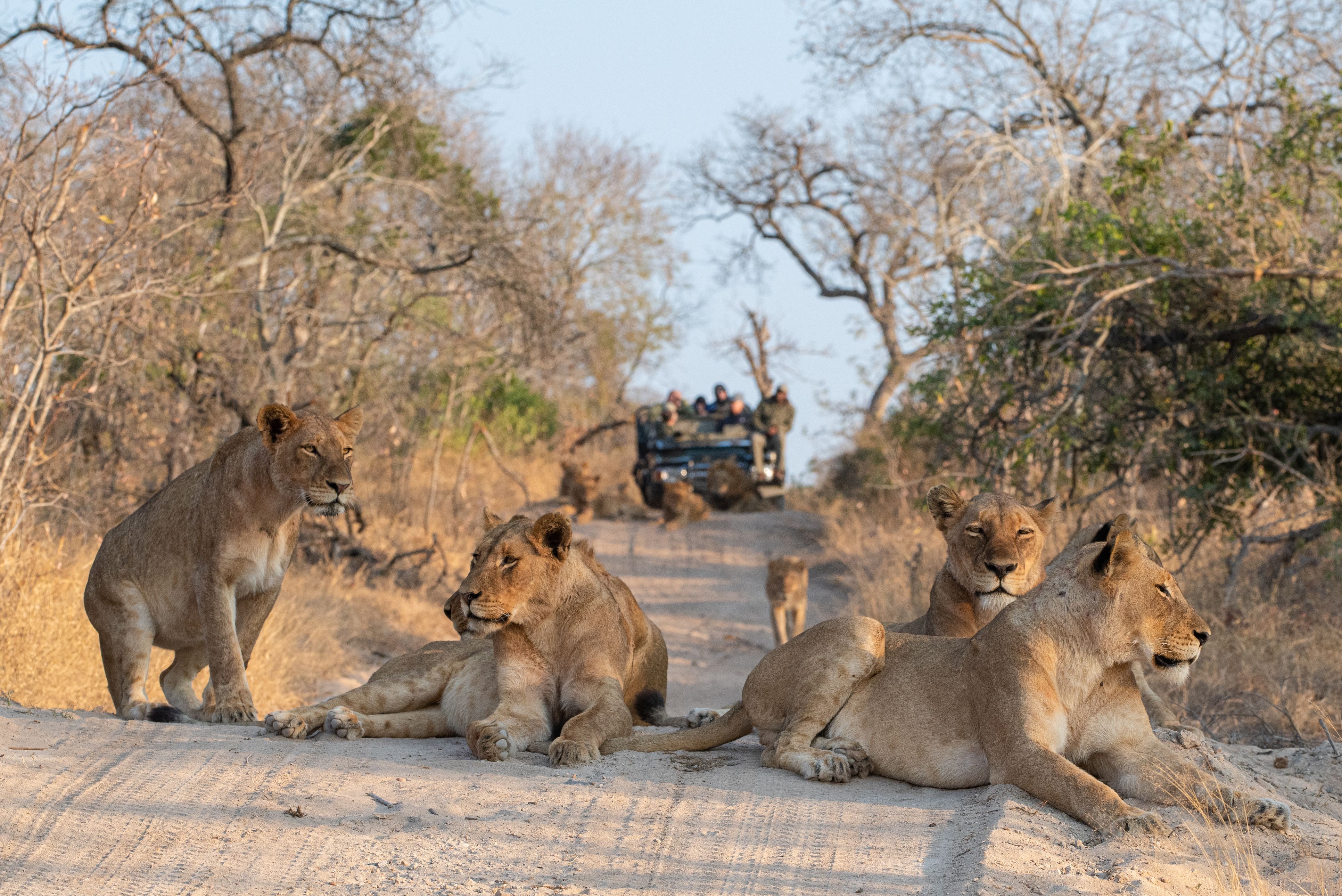 Kruger
