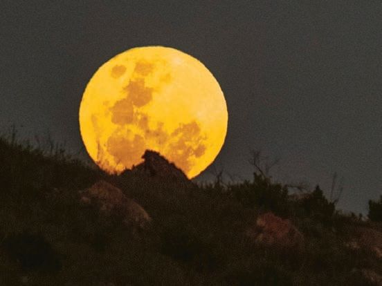 A bright full moon rises above a silhouetted hilltop, casting a warm glow in the night sky. The foreground features dark, indistinct vegetation and rocks, enhancing the moon's vibrant yellow hue and texture against the dark background.
