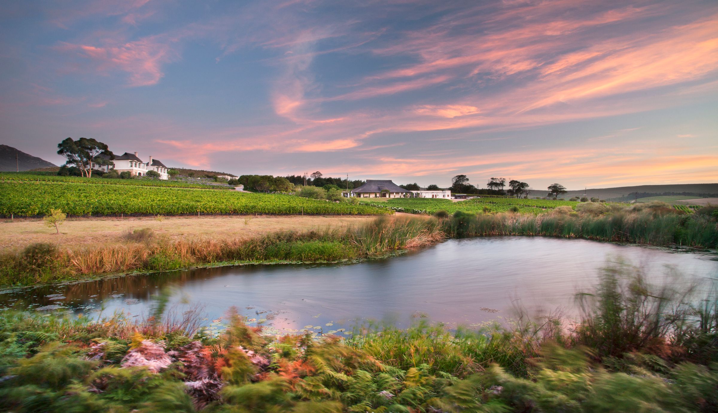 The Hemel-en-Aarde wine valley features a serene landscape at dusk, with lush vineyards, a tranquil pond, and a picturesque estate under a vibrant sky. This region is renowned for its cool-climate Pinot Noir and Chardonnay, offering a unique terroir on South Africa's Whale Coast.