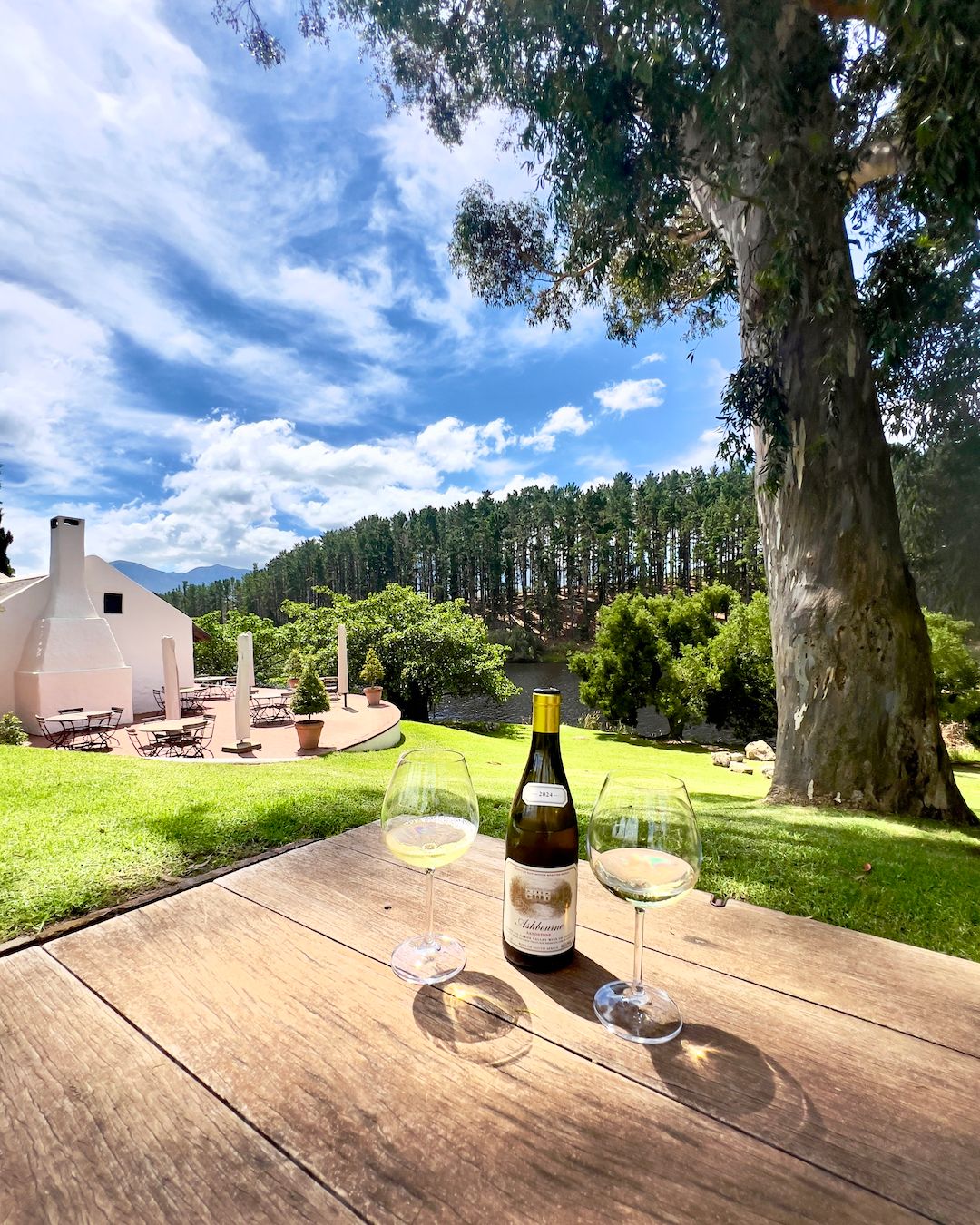 A serene vineyard scene with a wine bottle and two glasses on a wooden table. The background features lush greenery, a white building with patio seating, and tall trees under a blue sky, highlighting the scenic beauty of the area.
