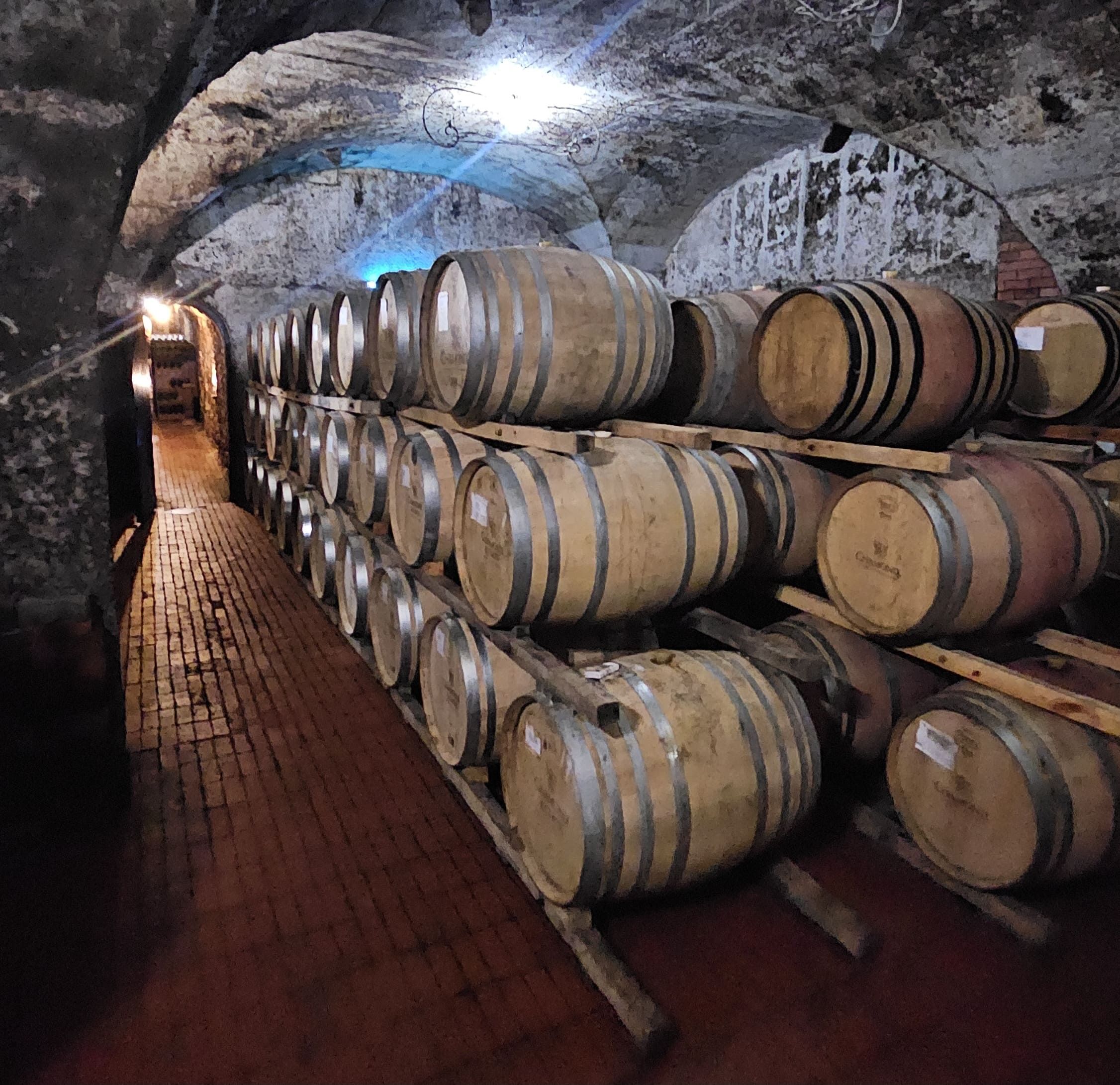 A dimly lit wine cellar with rows of stacked oak barrels. The rustic space has arched stone ceilings and brick flooring, creating a historic atmosphere. Soft lighting highlights the barrels, enhancing the aged ambiance of the cellar.