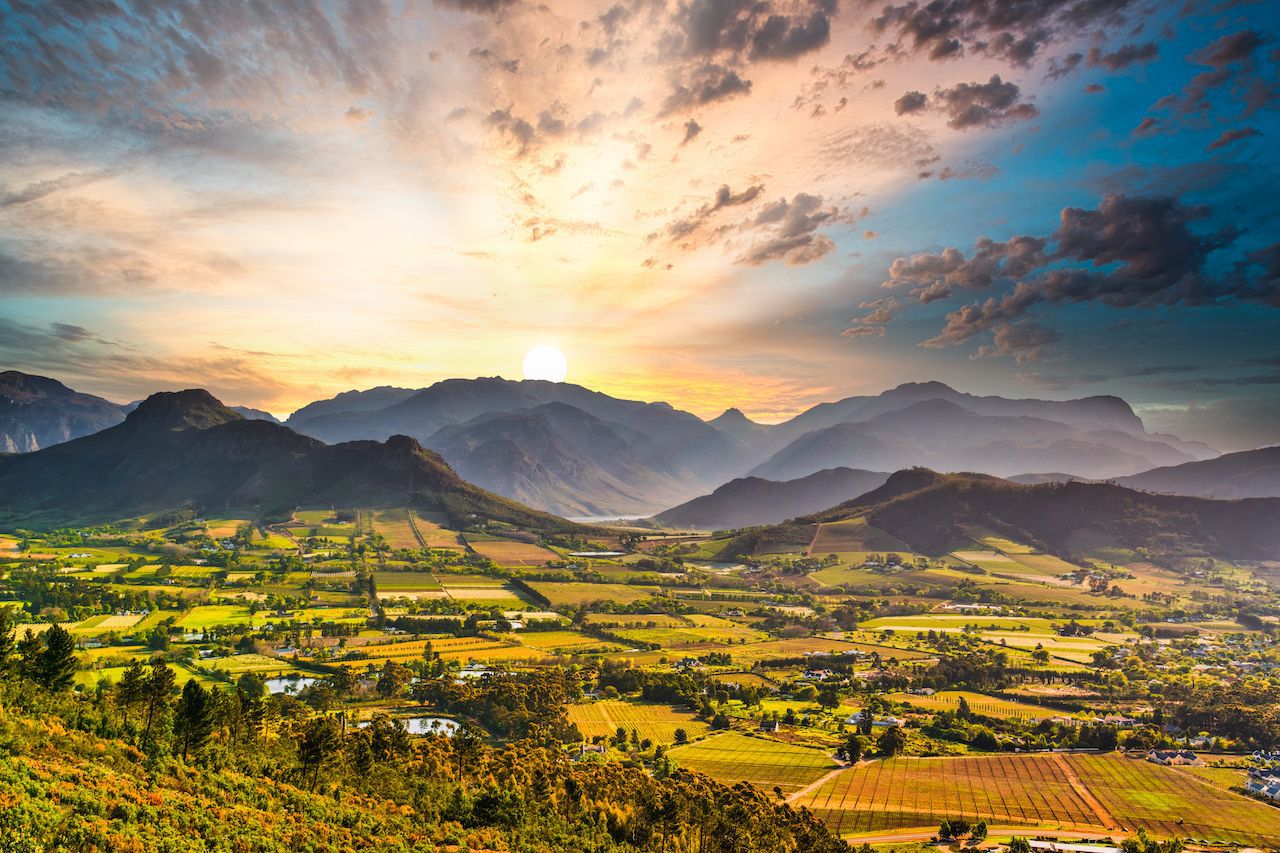 Cape Winelands